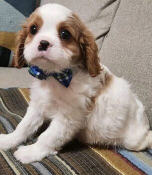 Meet Luna